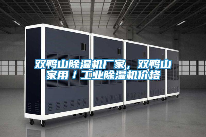 雙鴨山除濕機廠家，雙鴨山家用／工業(yè)除濕機價格
