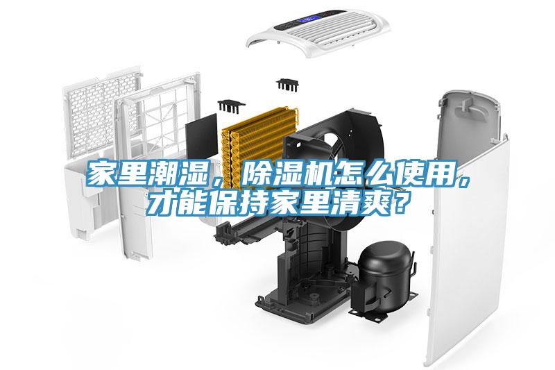 家里潮濕，除濕機(jī)怎么使用，才能保持家里清爽？