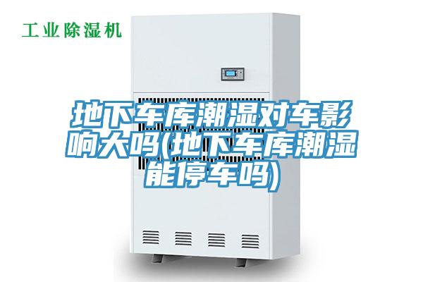 地下車(chē)庫(kù)潮濕對(duì)車(chē)影響大嗎(地下車(chē)庫(kù)潮濕能停車(chē)嗎)
