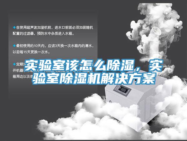 實驗室該怎么除濕，實驗室除濕機解決方案