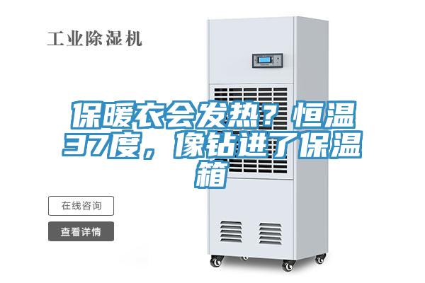 保暖衣會(huì)發(fā)熱？恒溫37度，像鉆進(jìn)了保溫箱
