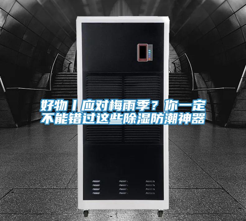 好物丨應對梅雨季？你一定不能錯過這些除濕防潮神器
