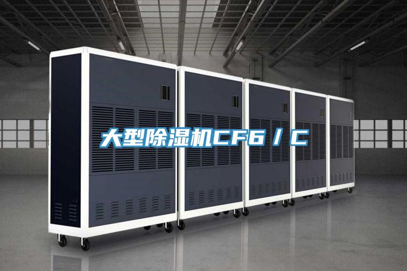 大型除濕機(jī)CF6／C