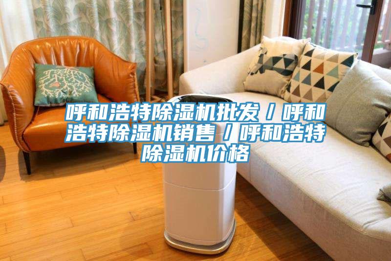 呼和浩特除濕機(jī)批發(fā)／呼和浩特除濕機(jī)銷售／呼和浩特除濕機(jī)價(jià)格