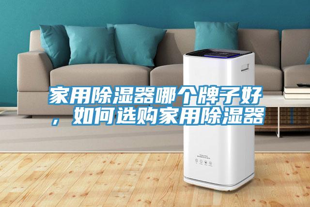 家用除濕器哪個(gè)牌子好，如何選購家用除濕器