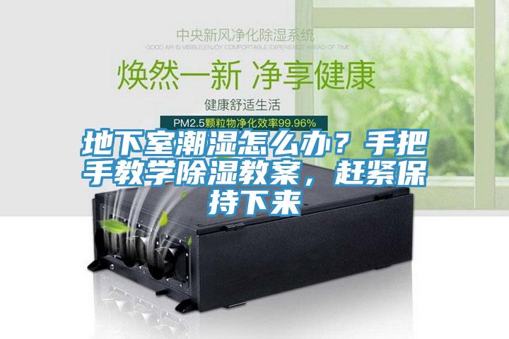 地下室潮濕怎么辦？手把手教學(xué)除濕教案，趕緊保持下來
