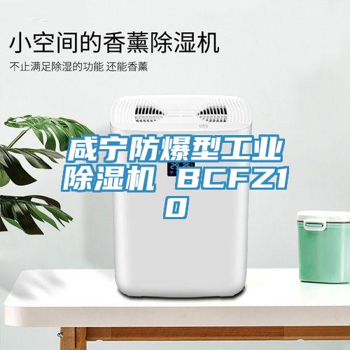 咸寧防爆型工業(yè)除濕機(jī) BCFZ10