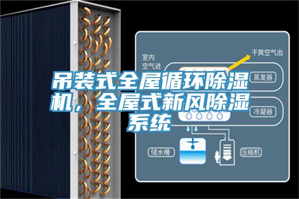 吊裝式全屋循環(huán)除濕機，全屋式新風除濕系統(tǒng)