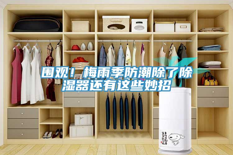 圍觀！梅雨季防潮除了除濕器還有這些妙招