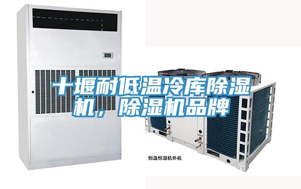十堰耐低溫冷庫(kù)除濕機(jī)，除濕機(jī)品牌