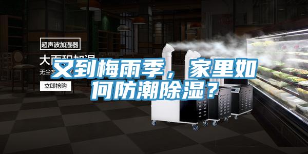 又到梅雨季，家里如何防潮除濕？