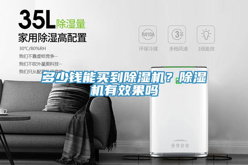 多少錢能買到除濕機？除濕機有效果嗎
