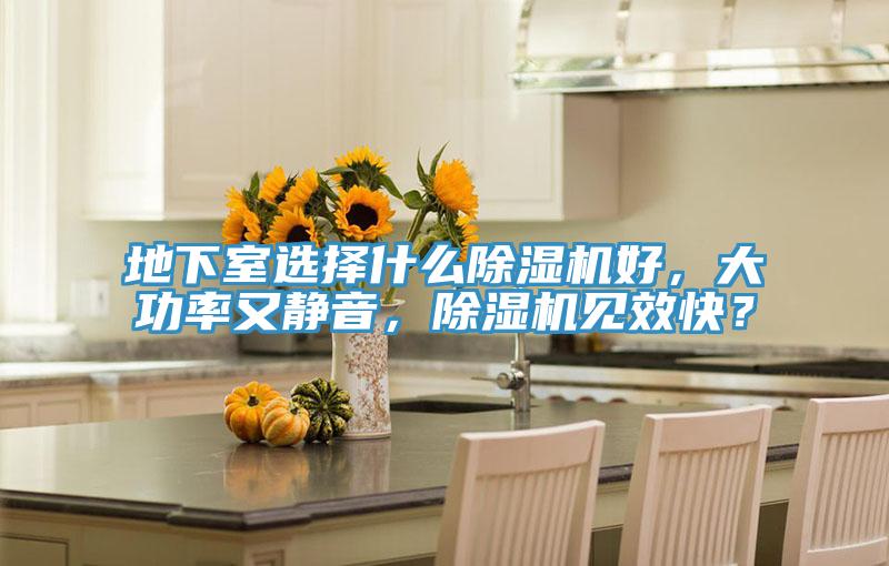 地下室選擇什么除濕機好，大功率又靜音，除濕機見效快？