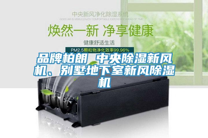 品牌柏朗 中央除濕新風(fēng)機(jī)、別墅地下室新風(fēng)除濕機(jī)