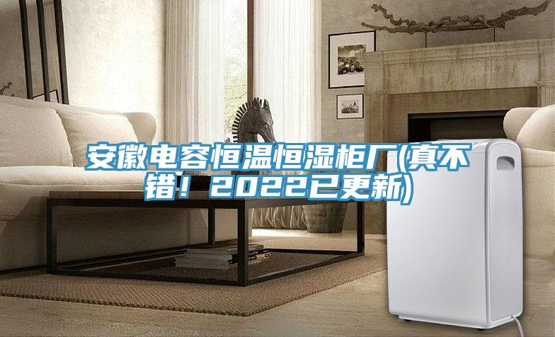 安徽電容恒溫恒濕柜廠(真不錯！2022已更新)