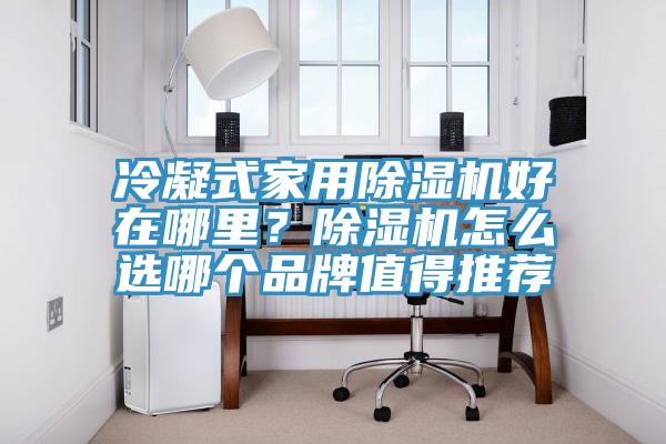 冷凝式家用除濕機好在哪里？除濕機怎么選哪個品牌值得推薦