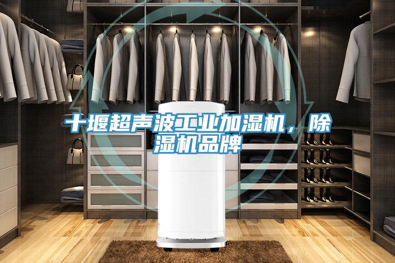 十堰超聲波工業(yè)加濕機，除濕機品牌