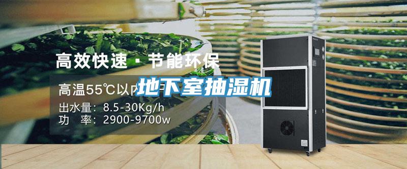 地下室抽濕機(jī)