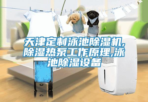天津定制泳池除濕機,除濕熱泵工作原理,泳池除濕設(shè)備