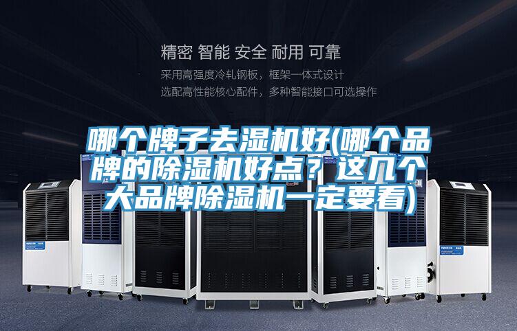 哪個牌子去濕機(jī)好(哪個品牌的除濕機(jī)好點(diǎn)？這幾個大品牌除濕機(jī)一定要看)
