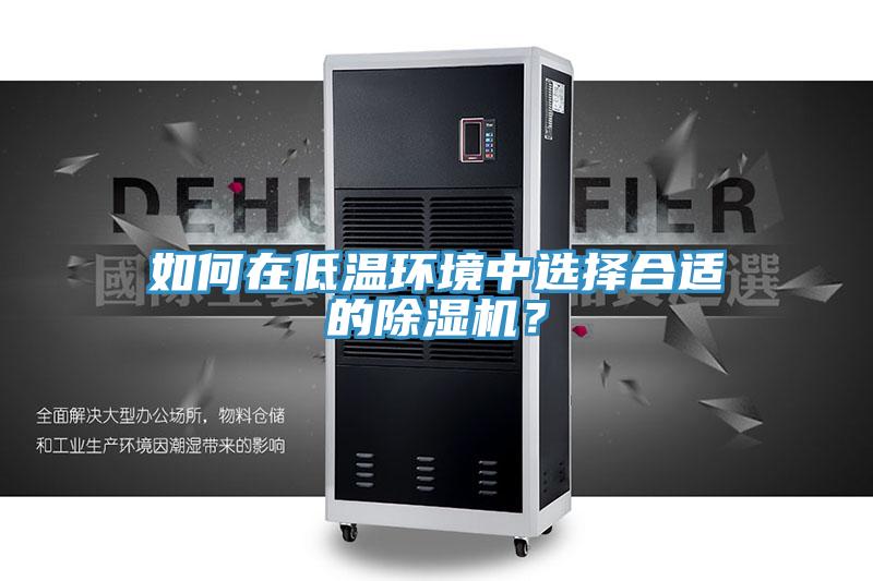 如何在低溫環(huán)境中選擇合適的除濕機(jī)？