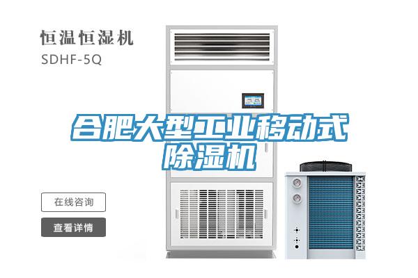 合肥大型工業(yè)移動式除濕機