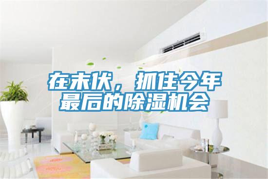 在末伏，抓住今年最后的除濕機(jī)會