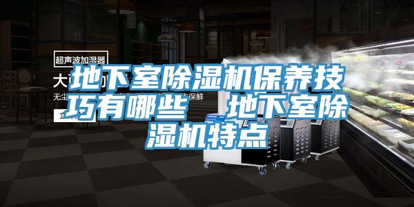 地下室除濕機(jī)保養(yǎng)技巧有哪些  地下室除濕機(jī)特點(diǎn)