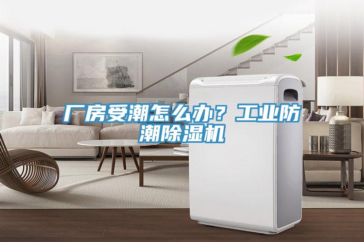 廠房受潮怎么辦？工業(yè)防潮除濕機(jī)