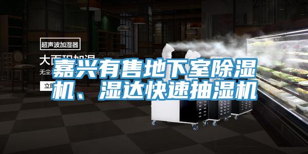 嘉興有售地下室除濕機(jī)、濕達(dá)快速抽濕機(jī)