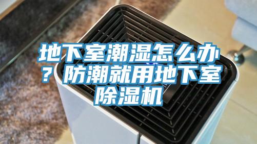 地下室潮濕怎么辦？防潮就用地下室除濕機(jī)
