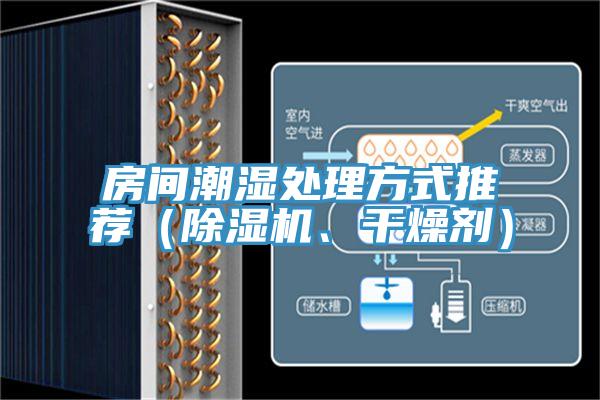 房間潮濕處理方式推薦（除濕機、干燥劑）