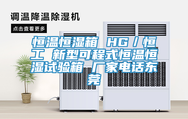 恒溫恒濕箱 HG／恒工 新型可程式恒溫恒濕試驗(yàn)箱 廠家電話東莞
