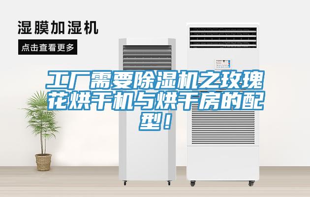 工廠需要除濕機(jī)之玫瑰花烘干機(jī)與烘干房的配型！