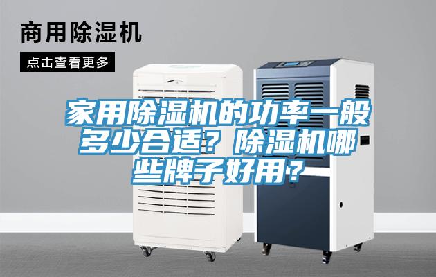 家用除濕機(jī)的功率一般多少合適？除濕機(jī)哪些牌子好用？