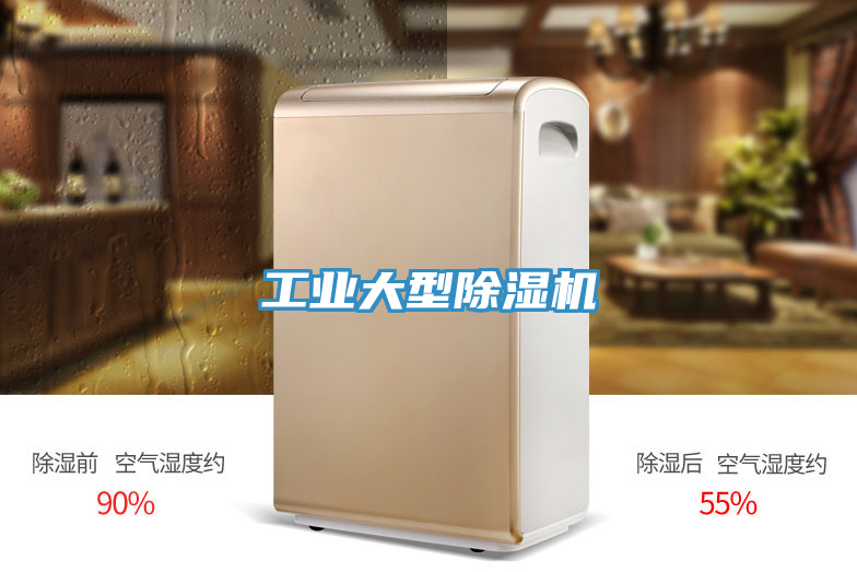 工業(yè)大型除濕機(jī)