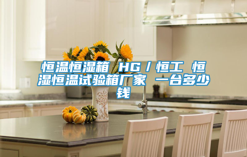 恒溫恒濕箱 HG／恒工 恒濕恒溫試驗(yàn)箱廠家 一臺(tái)多少錢