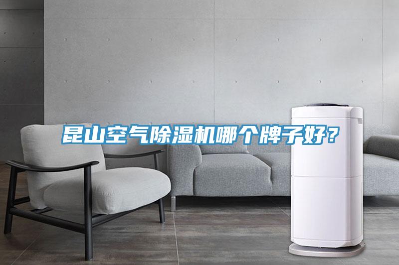 昆山空氣除濕機哪個牌子好？