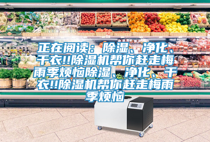 正在閱讀：除濕、凈化、干衣!!除濕機(jī)幫你趕走梅雨季煩惱除濕、凈化、干衣!!除濕機(jī)幫你趕走梅雨季煩惱