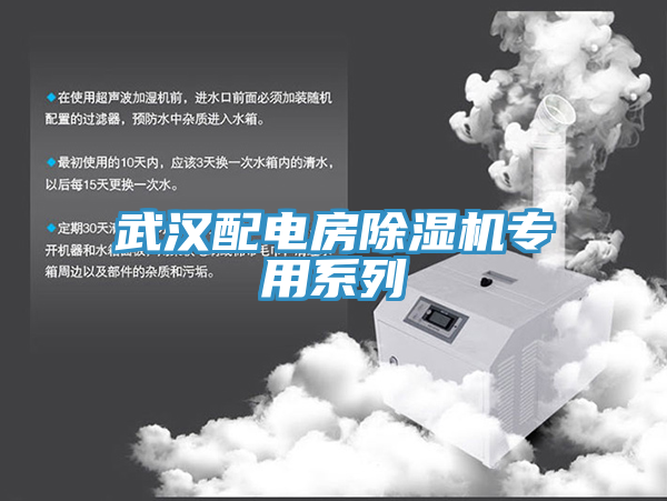 武漢配電房除濕機(jī)專用系列