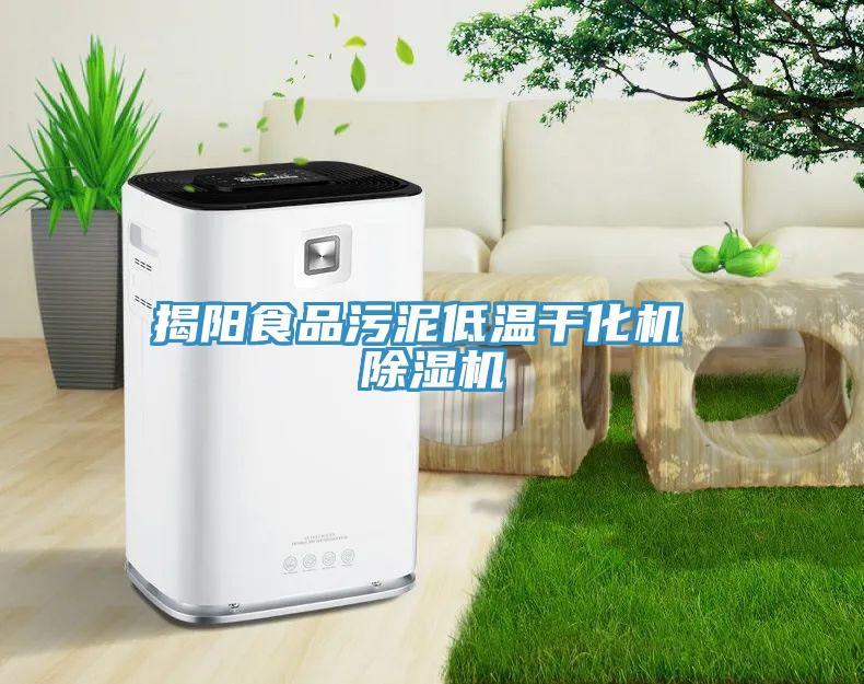 揭陽食品污泥低溫干化機(jī) 除濕機(jī)