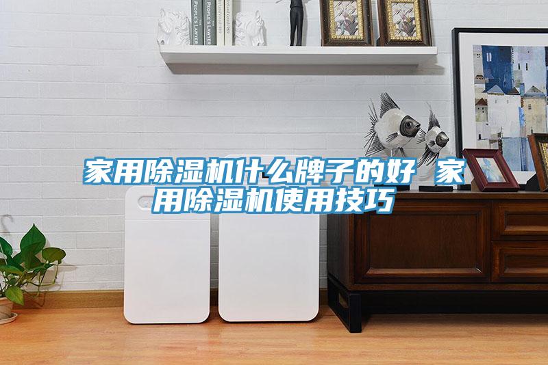 家用除濕機(jī)什么牌子的好 家用除濕機(jī)使用技巧