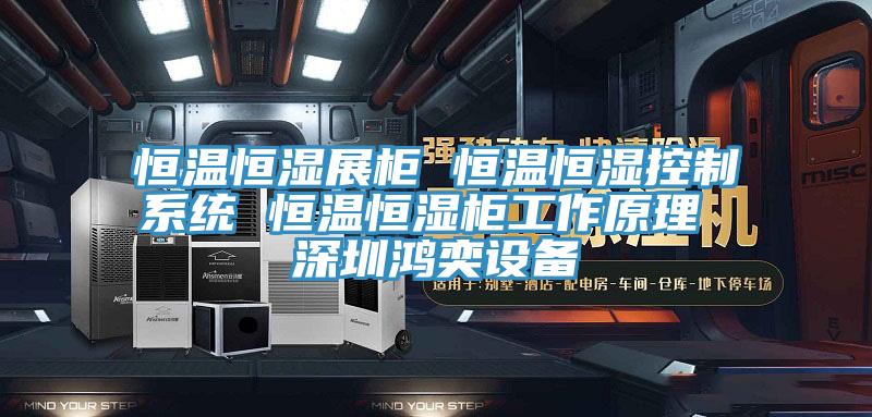 恒溫恒濕展柜 恒溫恒濕控制系統(tǒng) 恒溫恒濕柜工作原理 深圳鴻奕設(shè)備