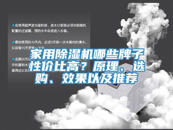 家用除濕機哪些牌子性價比高？原理、選購、效果以及推薦