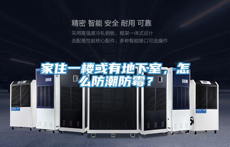 家住一樓或有地下室，怎么防潮防霉？