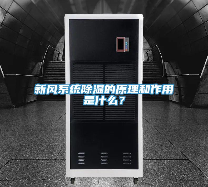 新風(fēng)系統(tǒng)除濕的原理和作用是什么？
