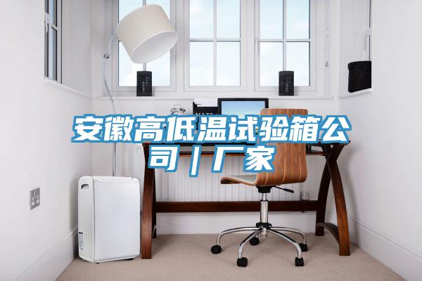 安徽高低溫試驗箱公司｜廠家