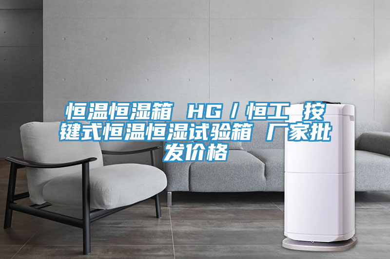 恒溫恒濕箱 HG／恒工 按鍵式恒溫恒濕試驗(yàn)箱 廠家批發(fā)價(jià)格