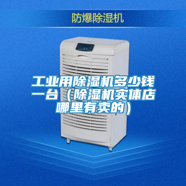 工業(yè)用除濕機多少錢一臺（除濕機實體店哪里有賣的）