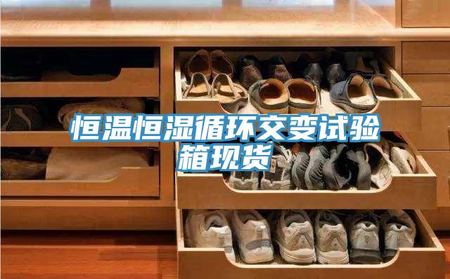 恒溫恒濕循環(huán)交變試驗箱現(xiàn)貨